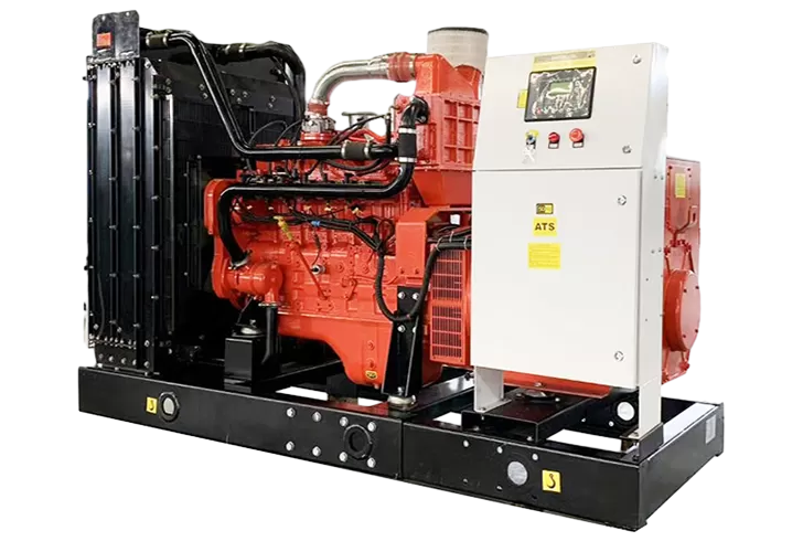 Natural Gas Generator Set