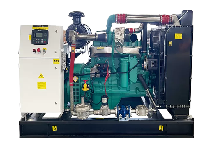 Biogas Generator Set